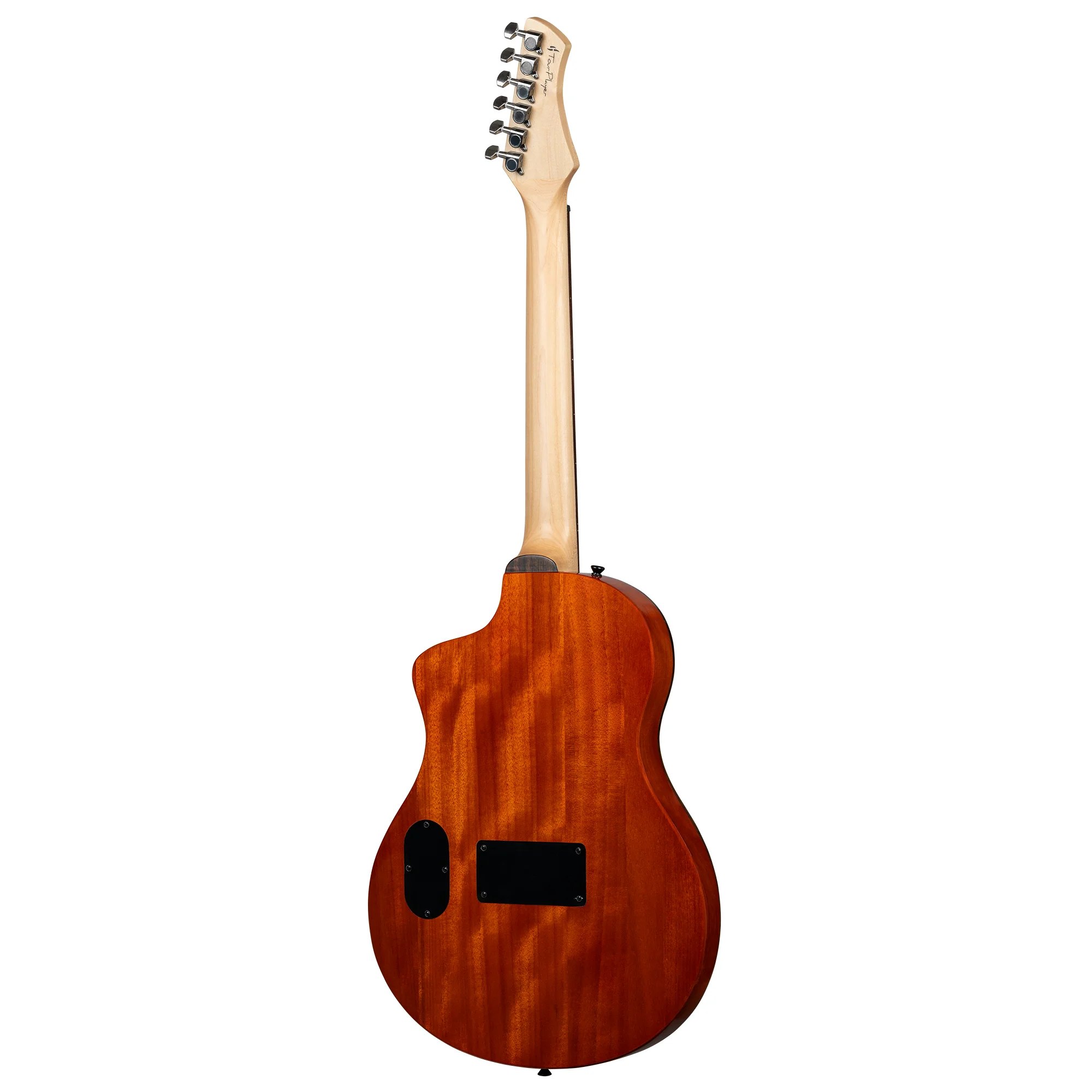 RTPG-LS2 TourPlayer Nylon String Electric-Acoustic